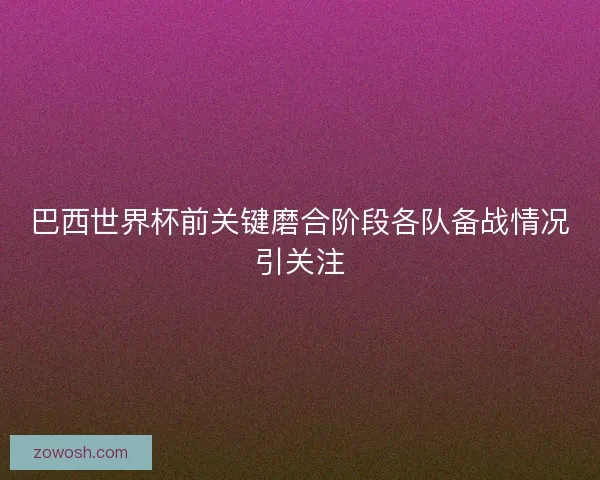 巴西世界杯前关键磨合阶段各队备战情况引关注