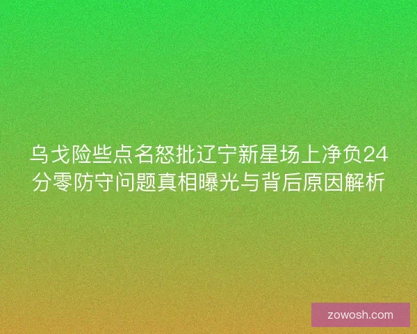 乌戈险些点名怒批辽宁新星场上净负24分零防守问题真相曝光与背后原因解析